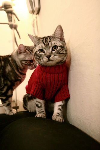 中超后腰球员拦截数据报告，中超拦截榜